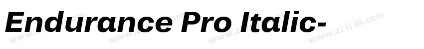 Endurance Pro Italic字体转换